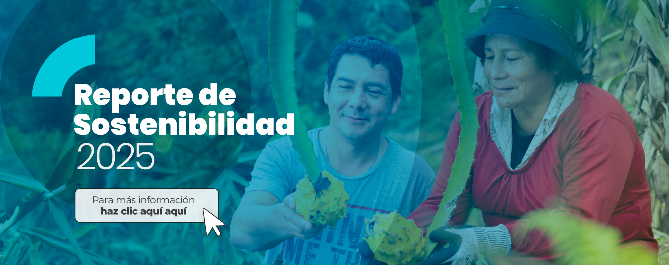 Reporte-de-sostenibilidad-2025